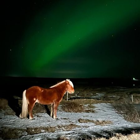 Guesthouse Didi Flagbjarnarholt Dış mekan fotoğraf