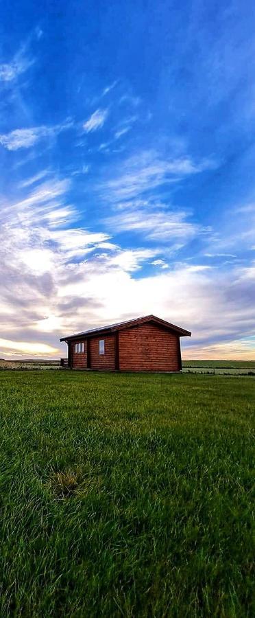 Guesthouse Didi Flagbjarnarholt Dış mekan fotoğraf