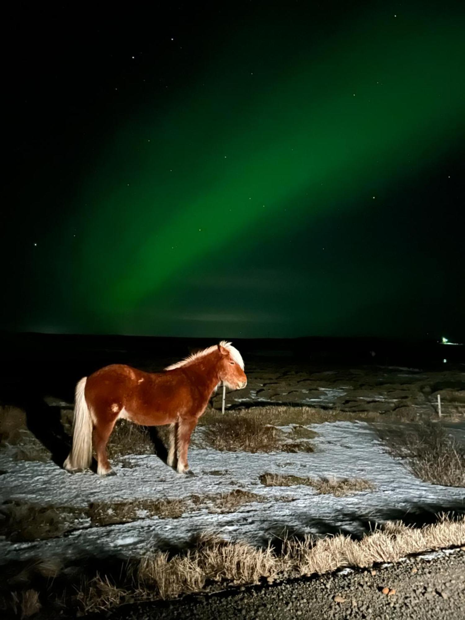 Guesthouse Didi Flagbjarnarholt Dış mekan fotoğraf